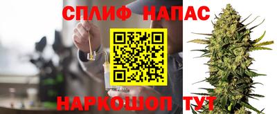 гашик Кандалакша