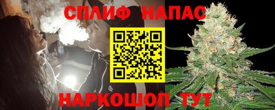 гашик Кандалакша