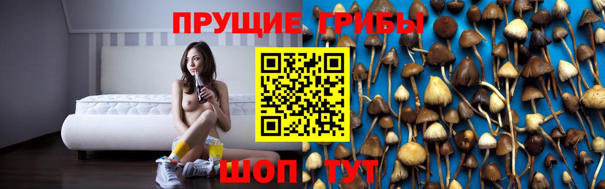 Галлюциногенные грибы Psilocybine cubensis Новый Уренгой